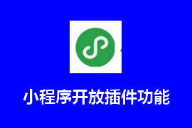 微信小程序開放插件功能【廣州網(wǎng)站建設】