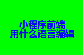 小程序前端開發(fā)用什么語(yǔ)言編輯